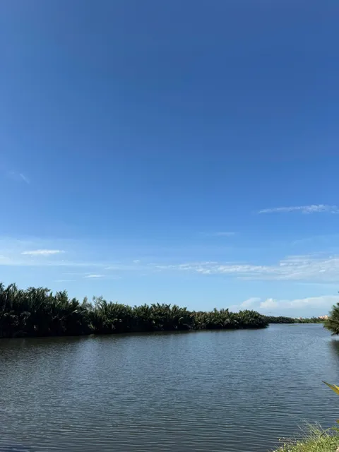 HÀNG HIẾM: Bán Lô Góc 2 Mặt Tiền View Sông Và View Làng Rau Trà Quế Cực Hiếm Tại Hội An (MS558a)